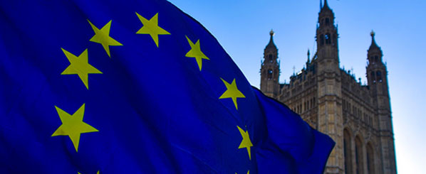 Whether employers should or should not sponsor their new EU workforce?