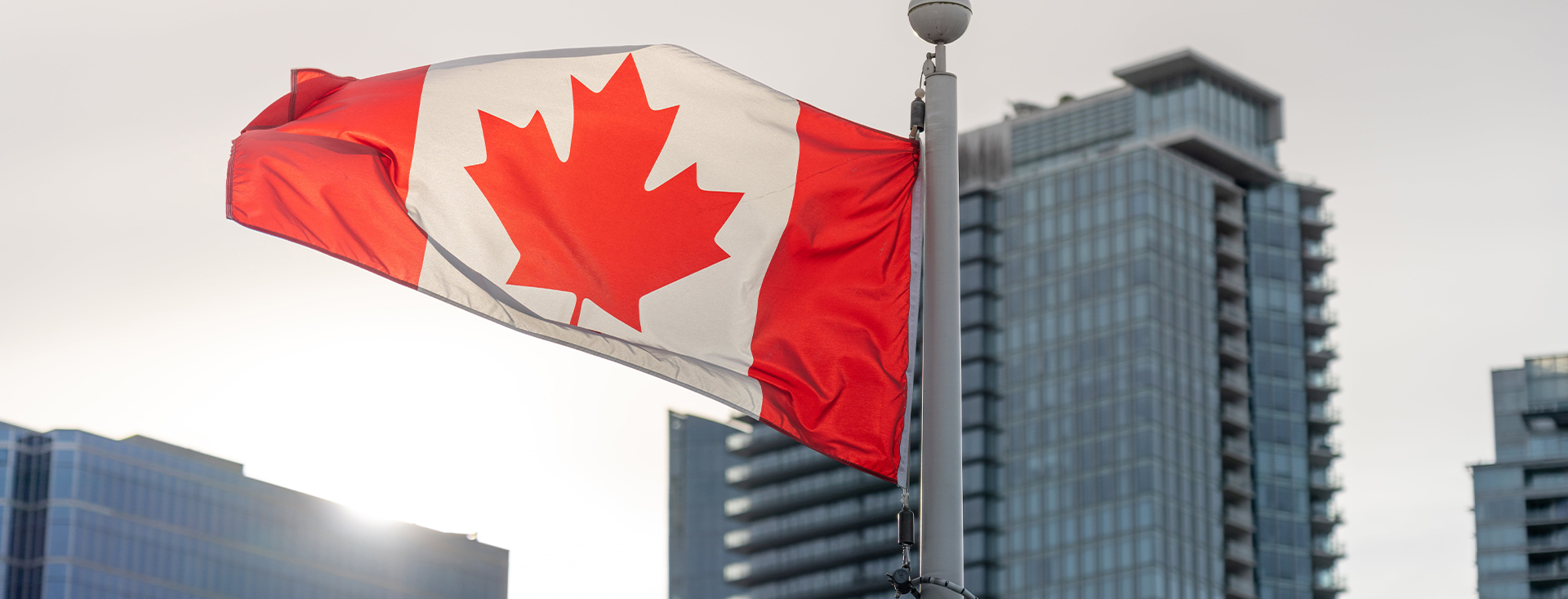 Canada welcomes 829 PNP candidates seeking Express Entry after stating that the program draws will recommence in July 2022