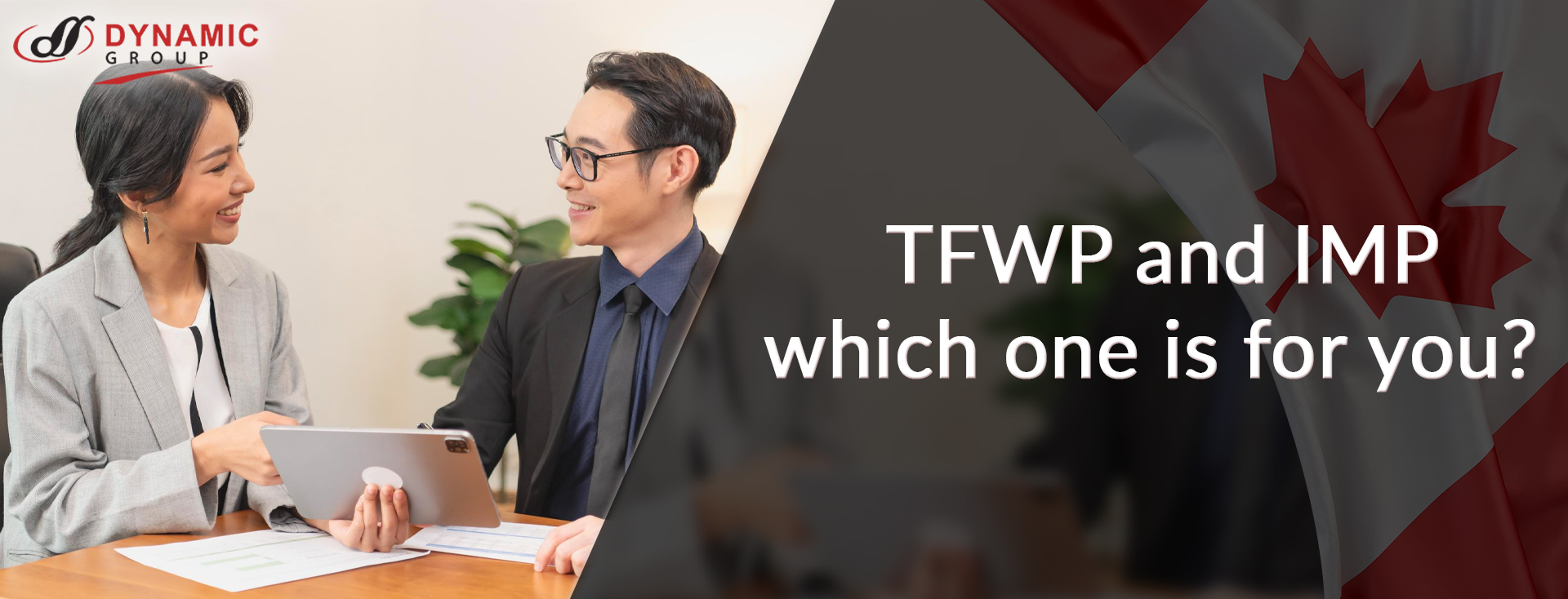 TFWP and IMP- which one is for you? 
