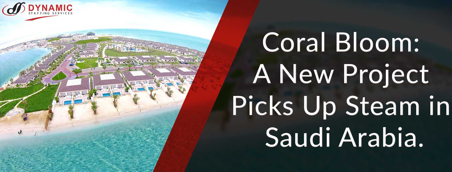 Coral Bloom: A New Project Picks Up Steam in Saudi Arabia