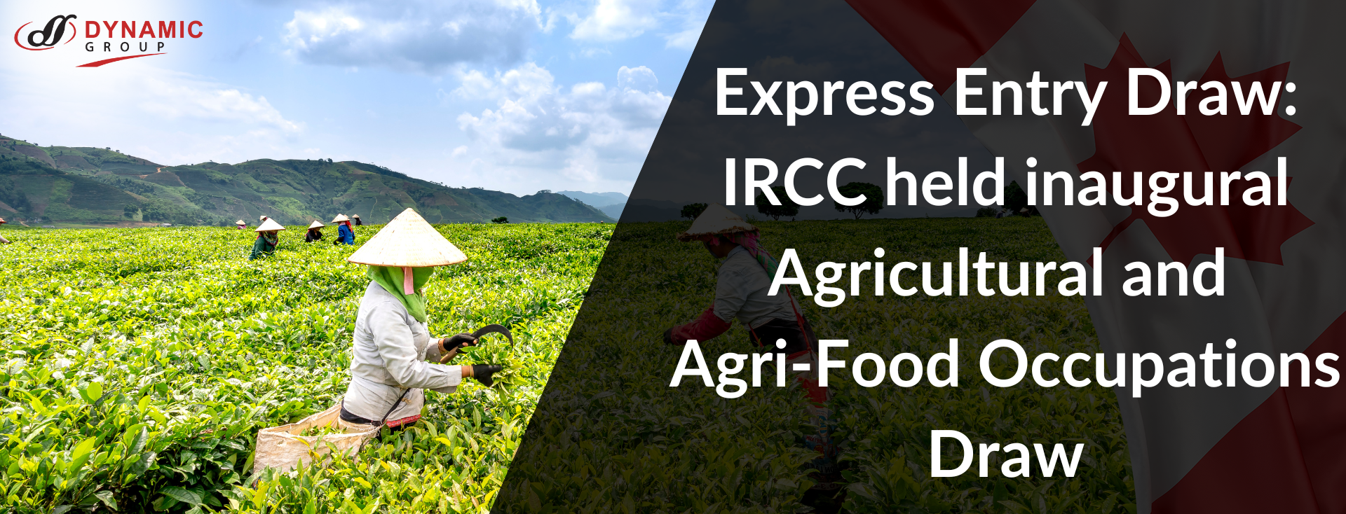 Express Entry Draw: IRCC held Inaugural Agricultural and Agri-Food Occupations Draw